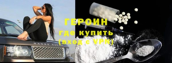 мдпв Гусев