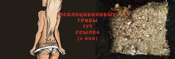 мдпв Гусев