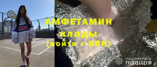мдпв Гусев