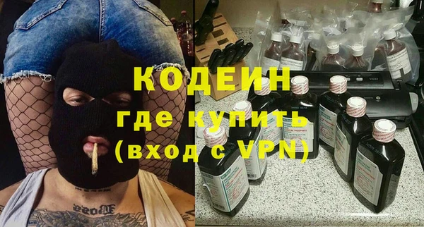 мдпв Гусев