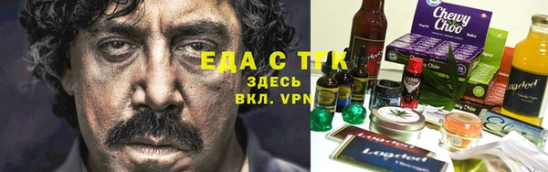 мдпв Гусев