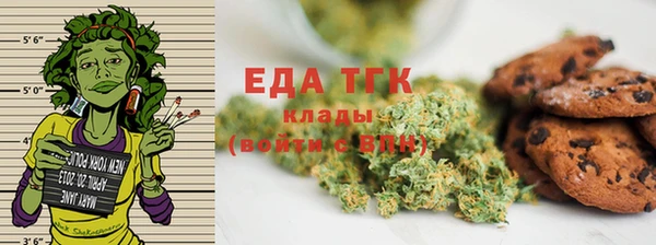 мдпв Гусев