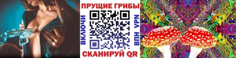 площадка состав  купить   Облучье  Галлюциногенные грибы ЛСД 
